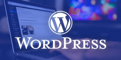 WordPress 建站案例一览 官方上线展示演示站点